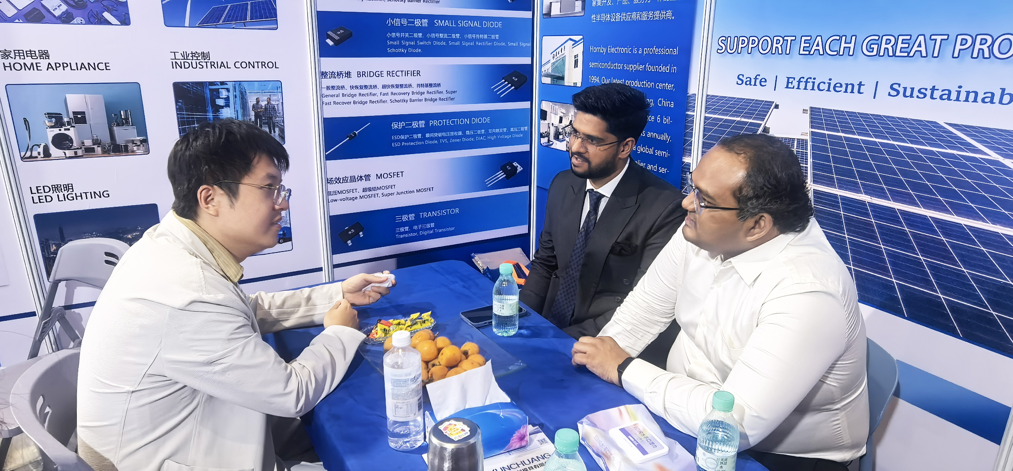 Hornby Electronic Concludes SNEC 2026, Showcasing Advanced PV Diodes and Solar Junction Box Solutions