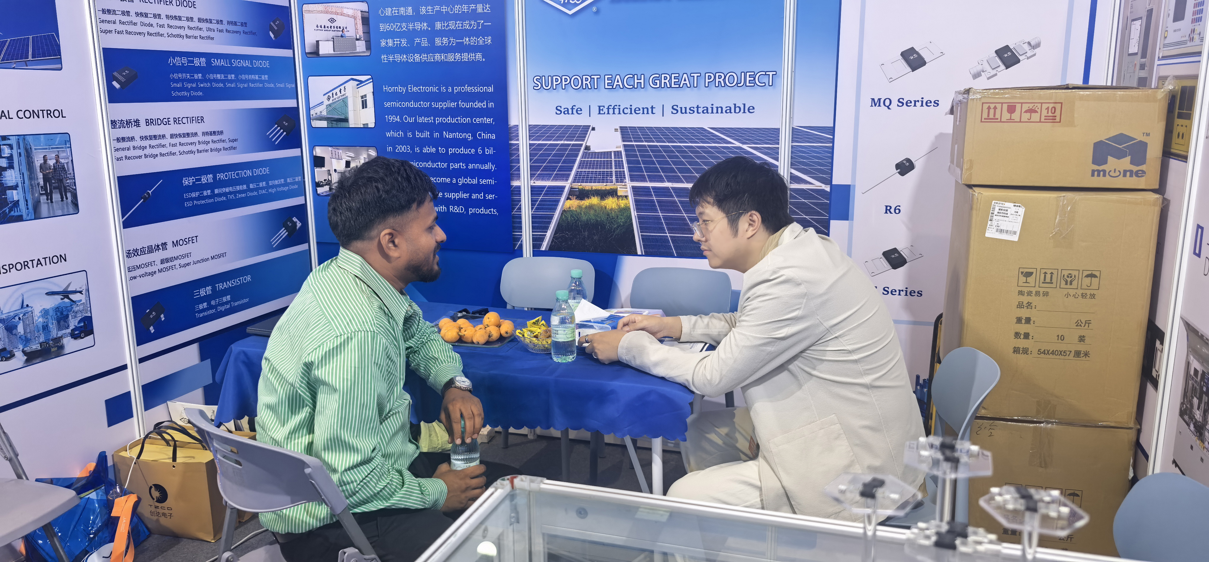 Hornby Electronic Concludes SNEC 2026, Showcasing Advanced PV Diodes and Solar Junction Box Solutions