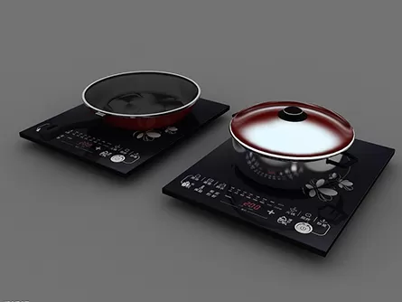 Induction Cooker